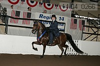 r14-04_0266 thumbnail